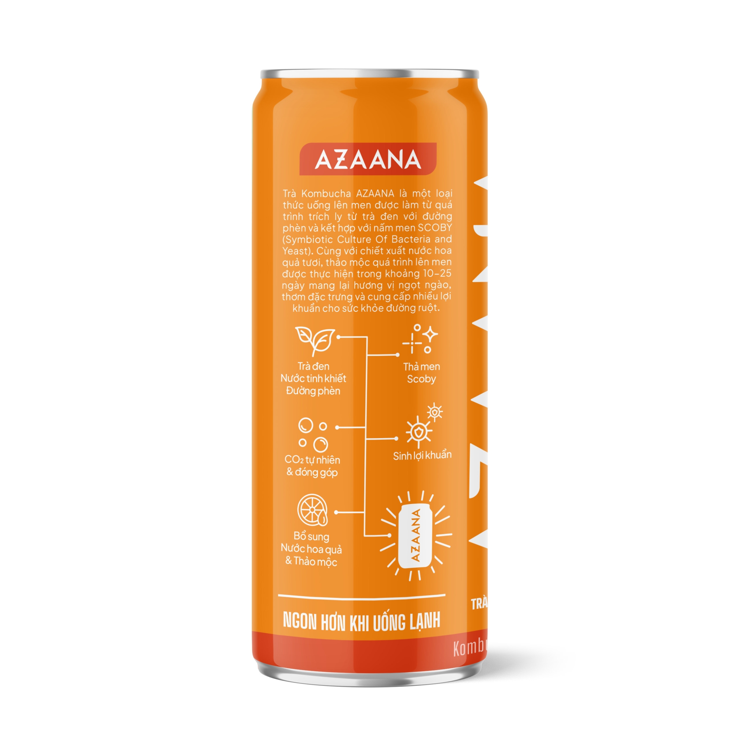 AZN02 - Kombucha mo ma dao