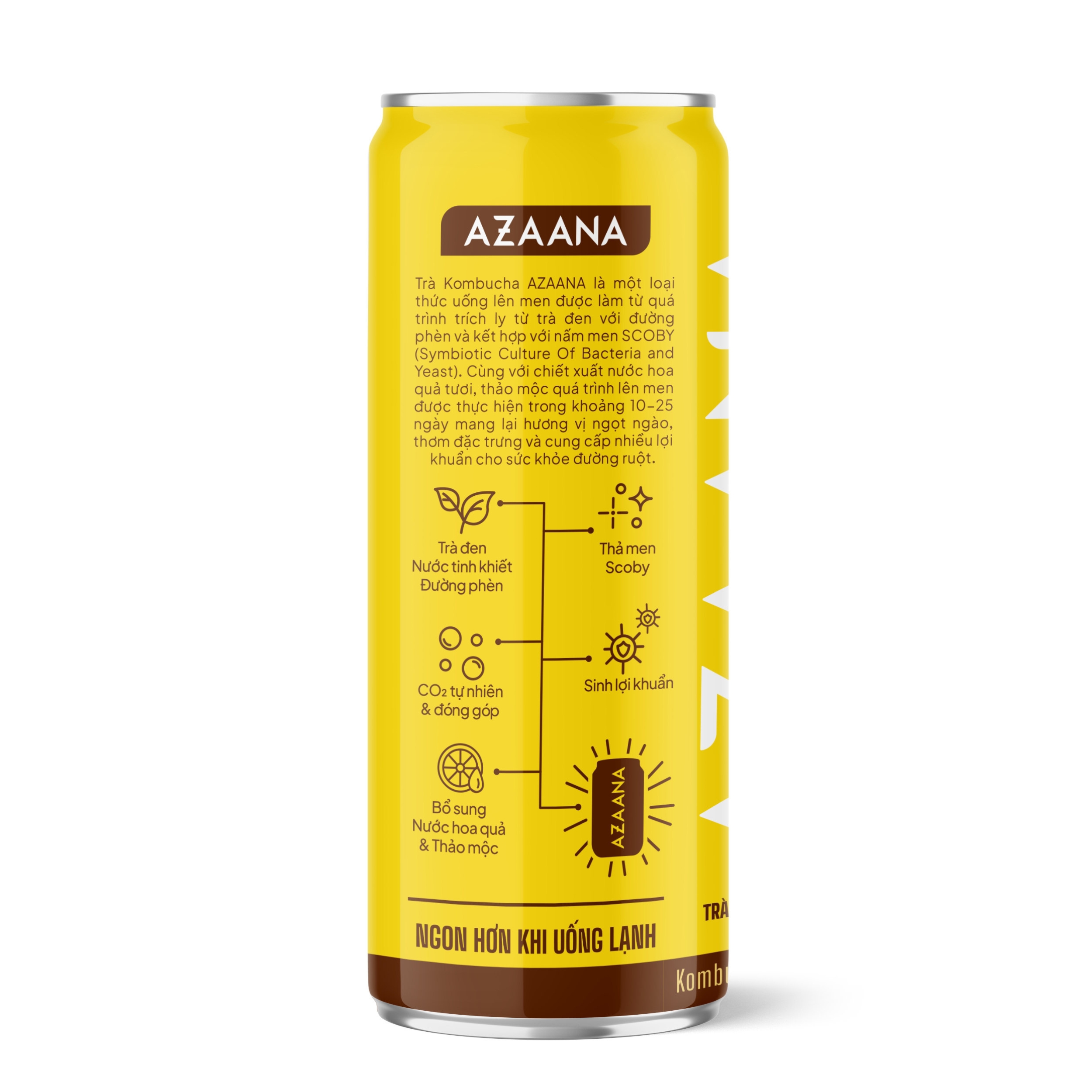 AZN01 - Kombucha Sau Gung