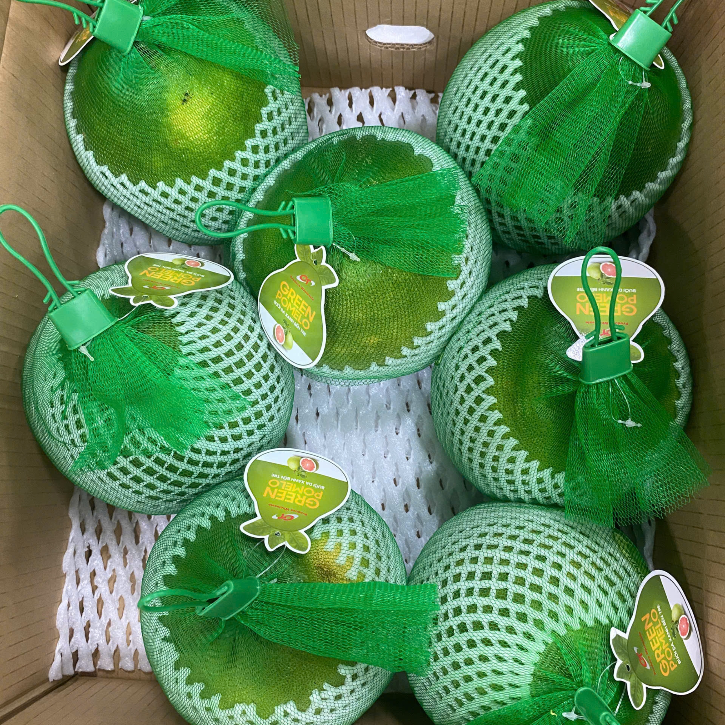 CT075 - Buoi da xanh/ Green Pomelo