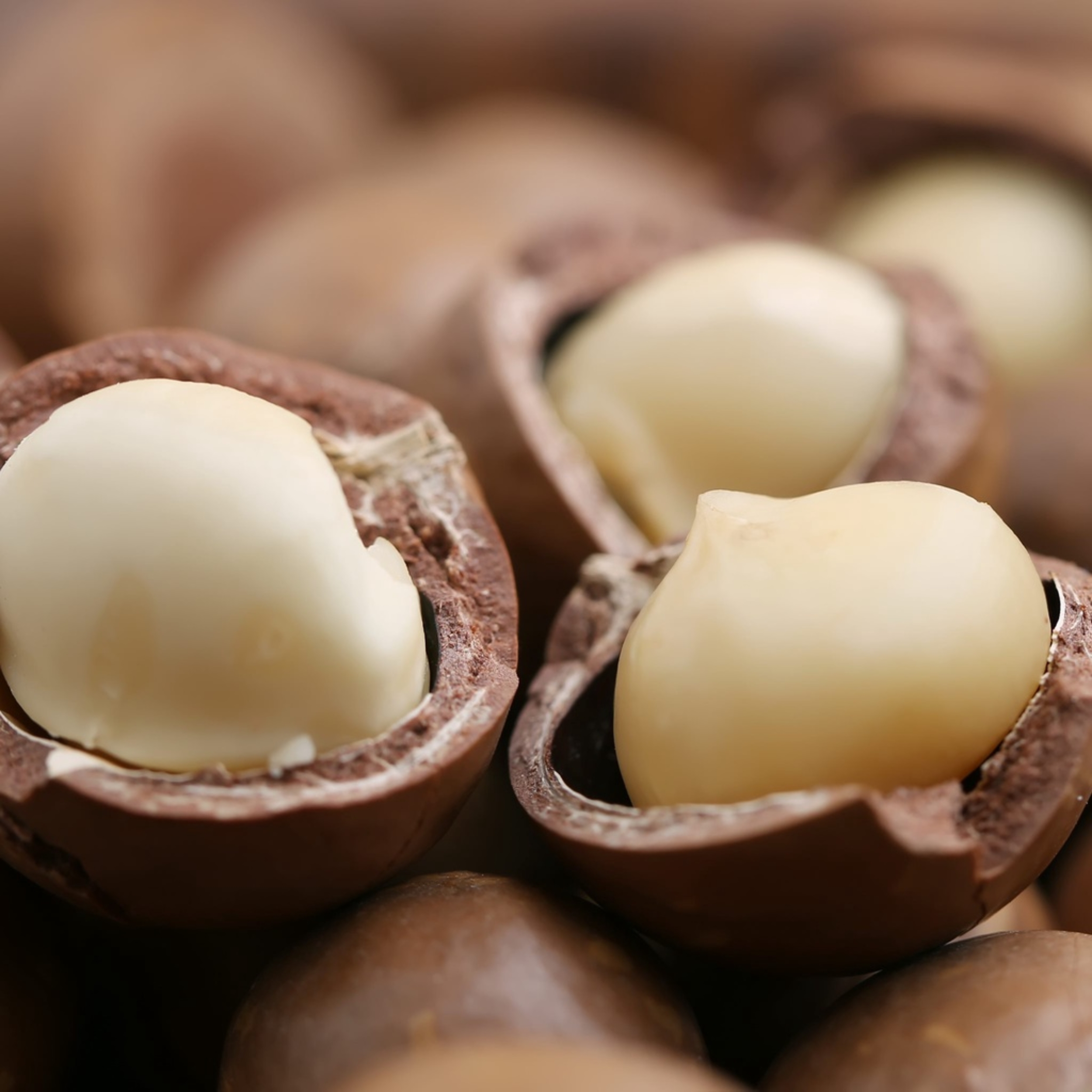 Hat Macca / Happy Nut Vanilla Macadamias Hat Macca / Happy Nut Vanilla Macadamias