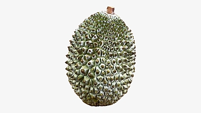 MSK01 - Sau rieng Musang King/ Frozen Musang King  Durian Whole Size: 1kg-3.5kg / 12kgs MSK01 - Sau rieng Musang King/ Frozen Musang King  Durian Whole Size: 1kg-3.5kg / 12kgs