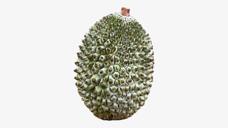MSK01 - Sau rieng Musang King/ Frozen Musang King  Durian Whole Size: 1kg-3.5kg / 12kgs