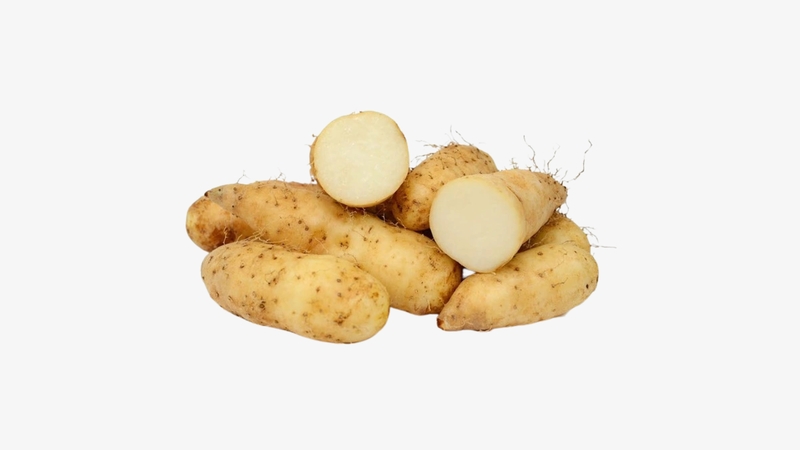 Khoai Tu / Yampi