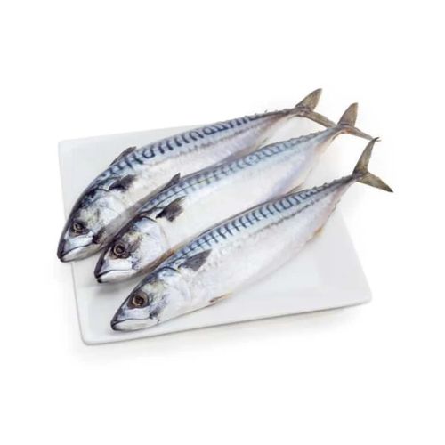 Norway Ca Nuc - Norway Mackerel 400-600g