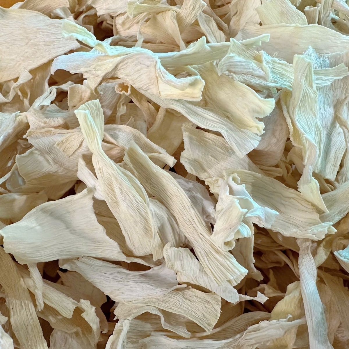 AK11 - Cu hu dua/Cococut Tubers