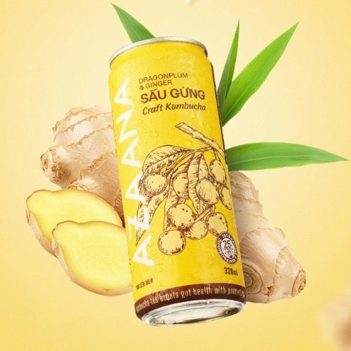 AZN01 - Kombucha Sau Gung * Dragon Plum & Ginger