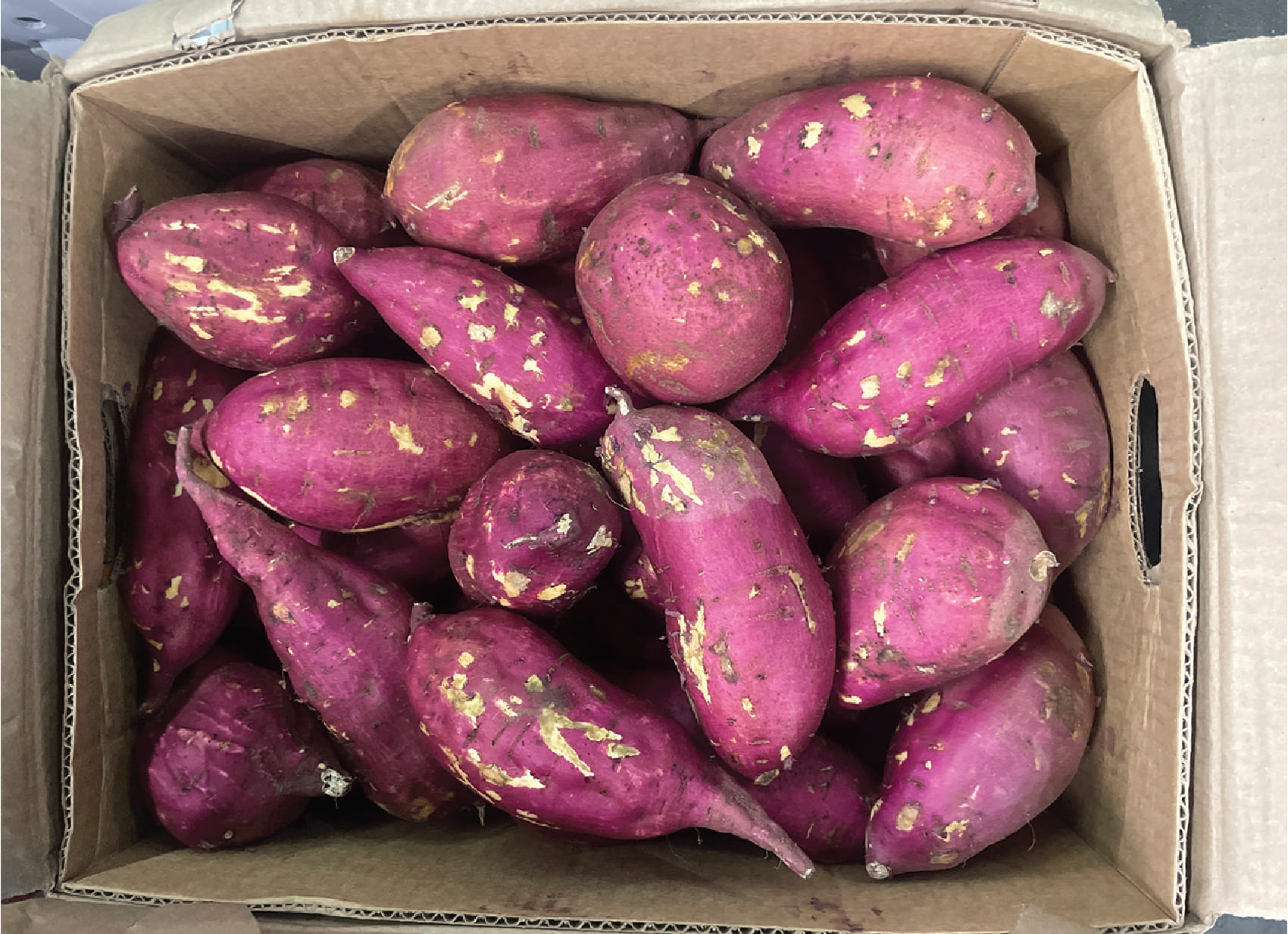 Khoai Lang Nhat / Japanese Yam