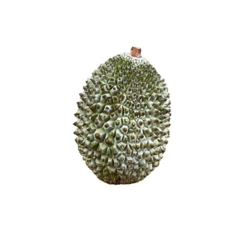 MSK01 - Sau rieng Musang King/ Frozen Musang King  Durian Whole Size: 1kg-3.5kg / 12kgs