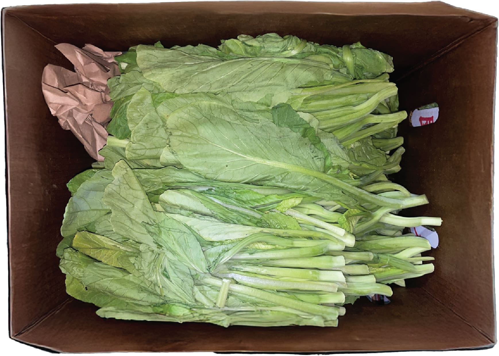 Cai Xanh / Sherlihon