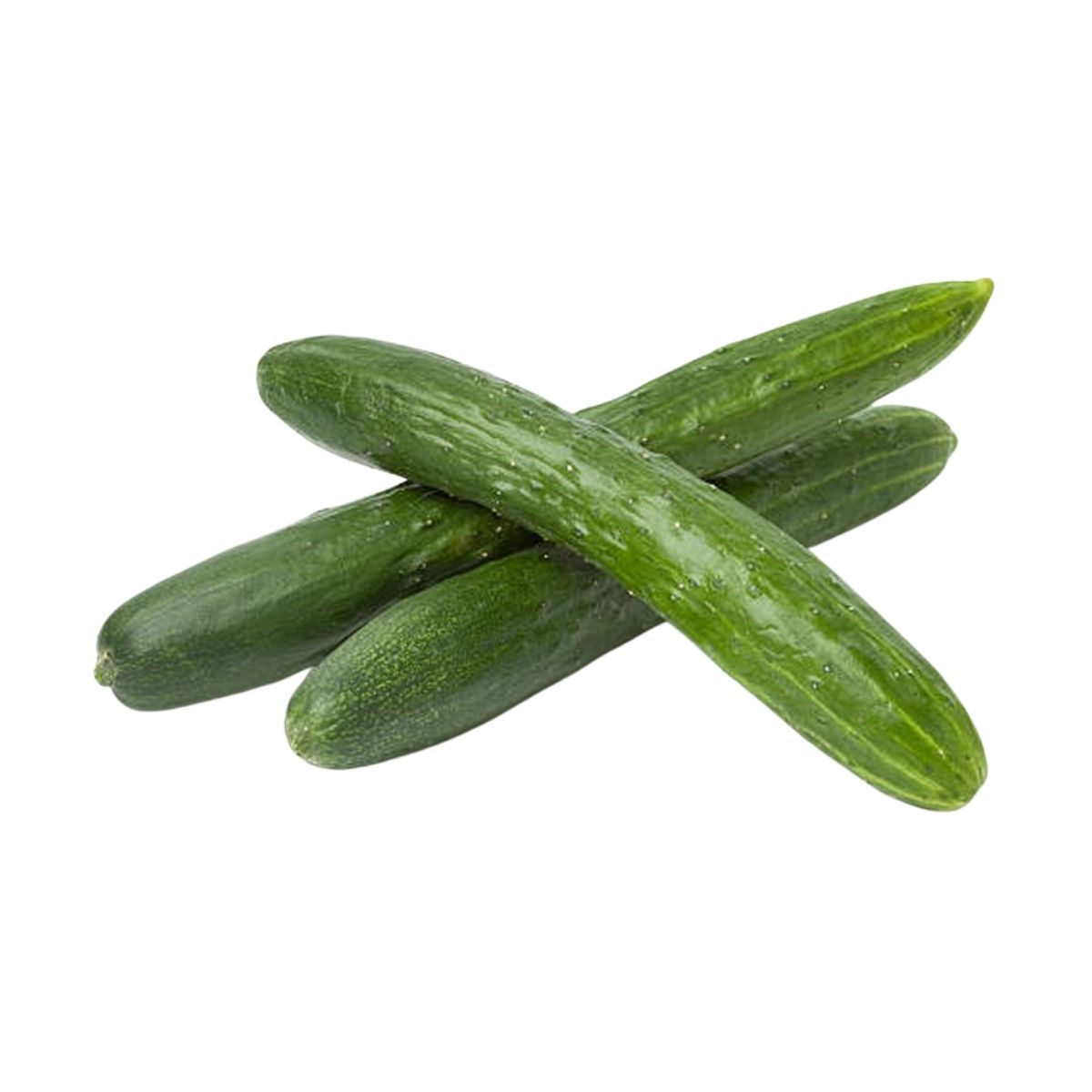 Dua Chuot Nhat / Japanese Cucumber