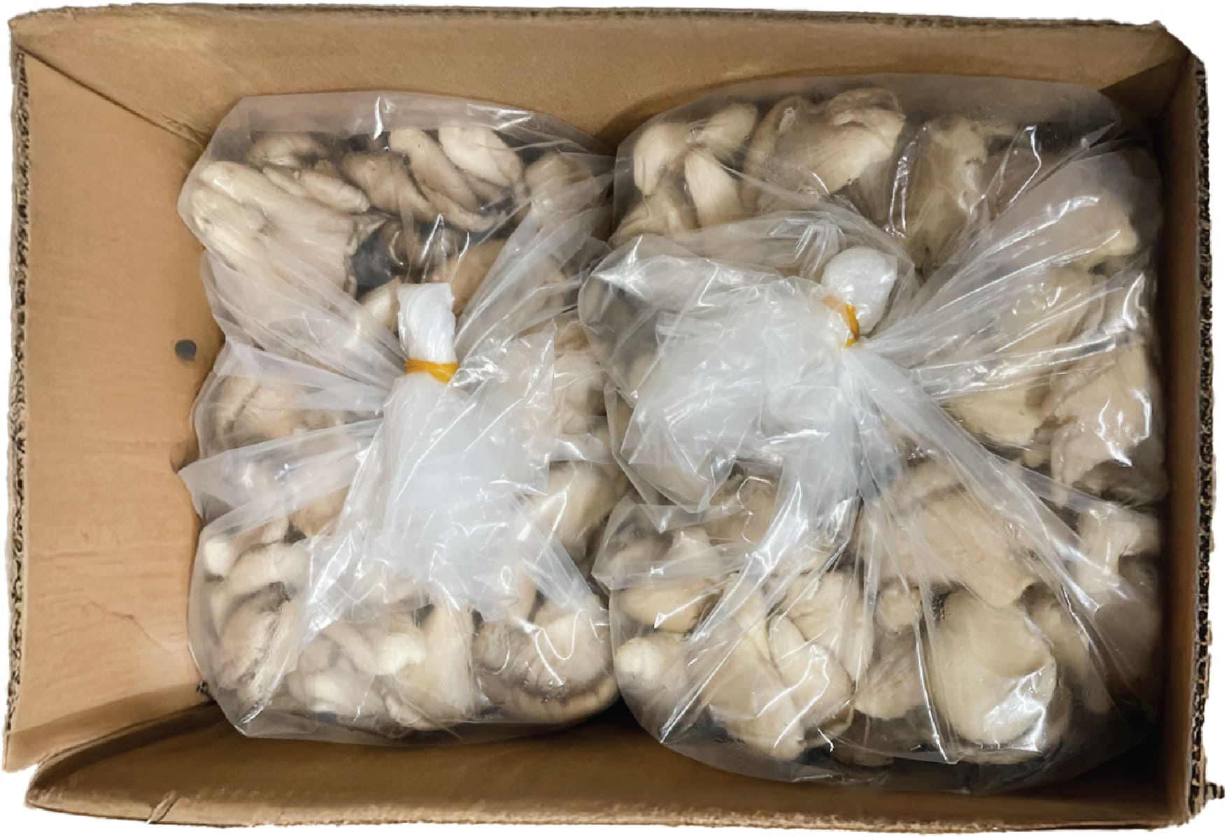 Nam Bao Ngu - Oyster Mushroom