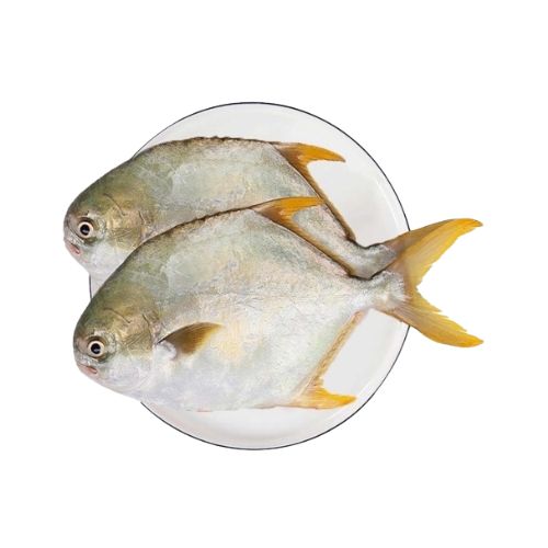Ca Chim Vang (Golden Pompano )
