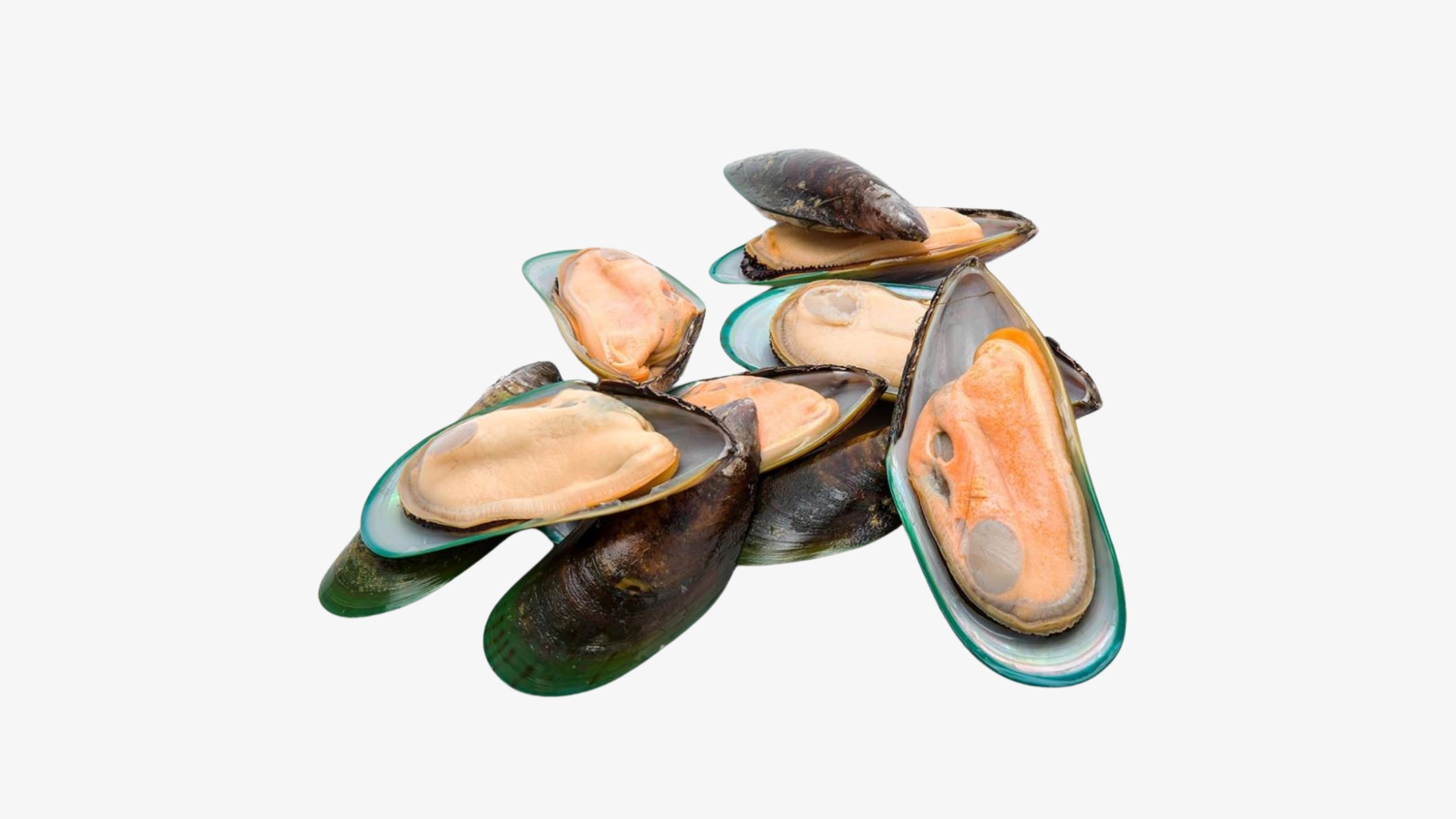 Chem Chep Nua Vo / Blue Mussel Halfshell NEW ZEALAND
