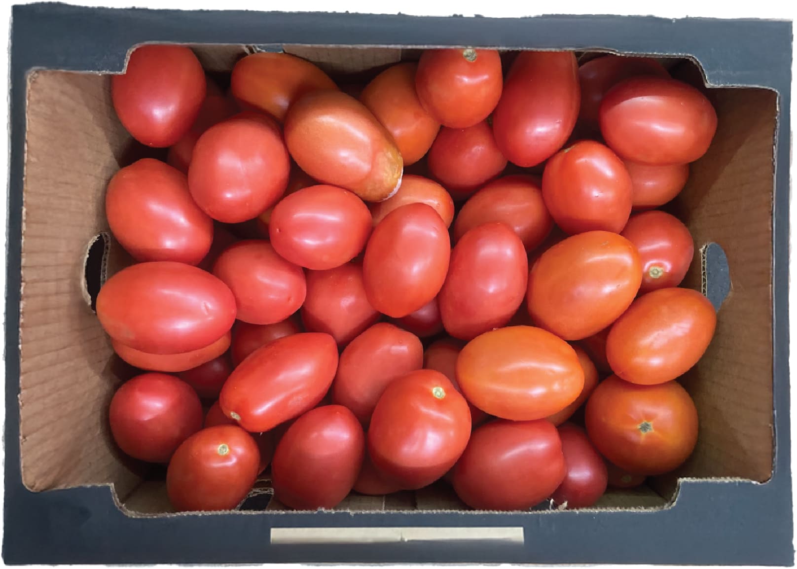 Ca Chua Roma  /  Roma Tomatoes