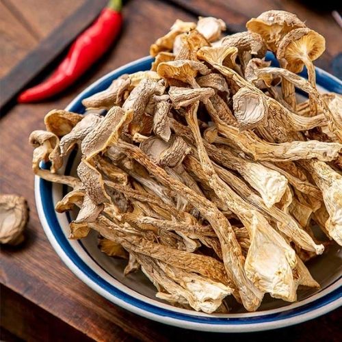 PLT049 - Nam loc nhung/ Deer Antler Mushroom