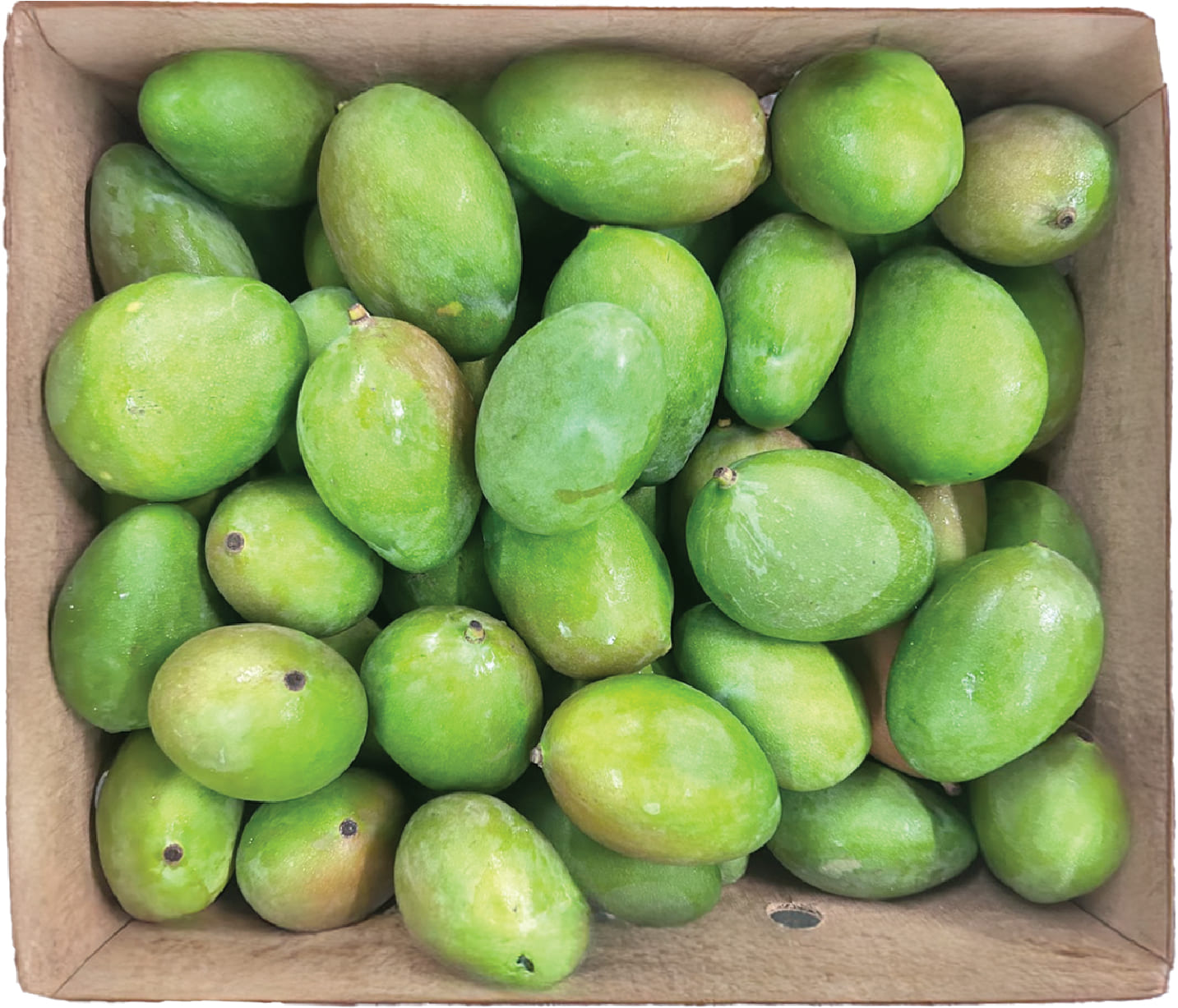 Xoai Xanh / Green Mango