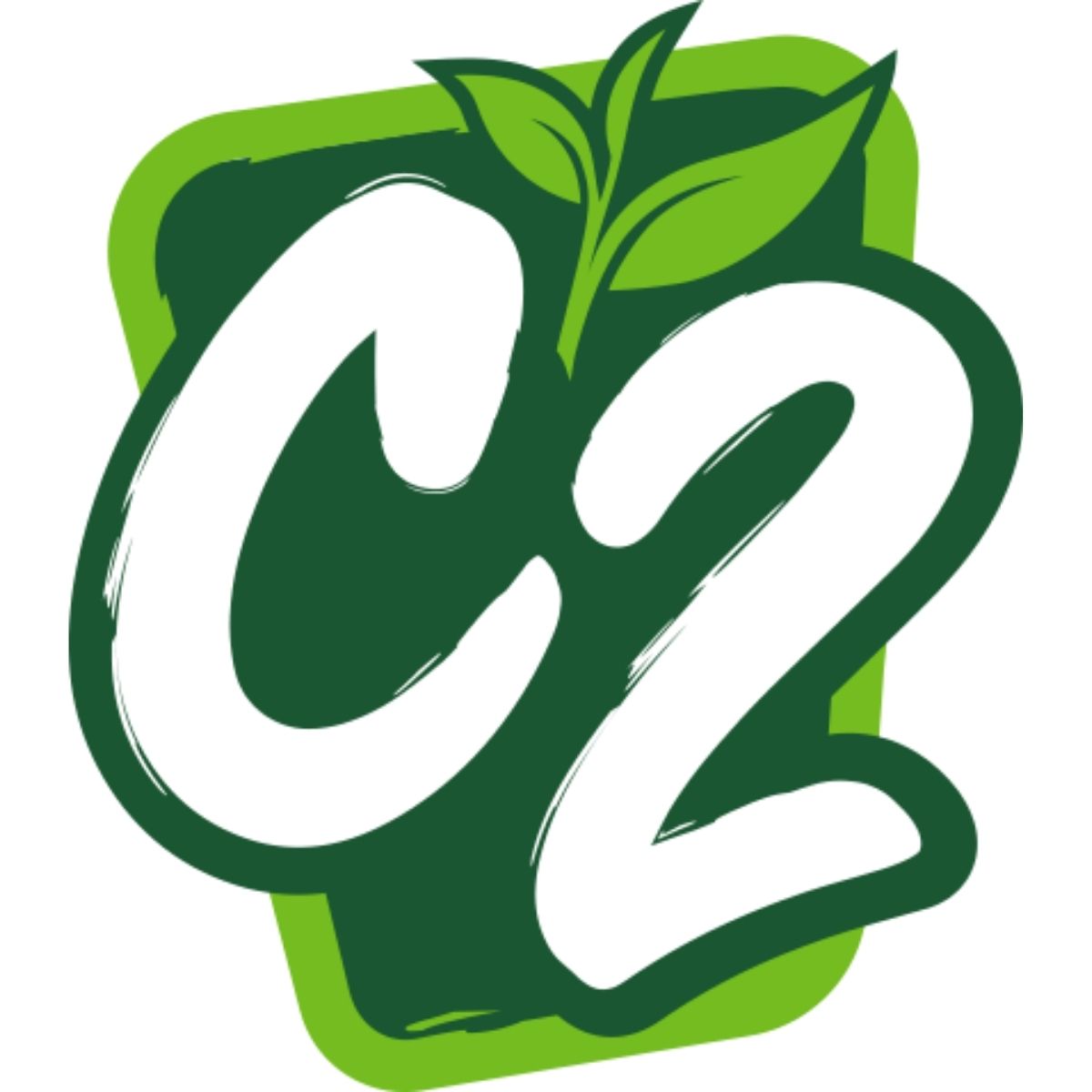C2