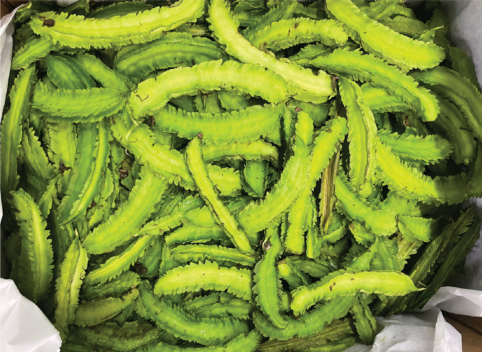 Dau Rong / Wing Bean