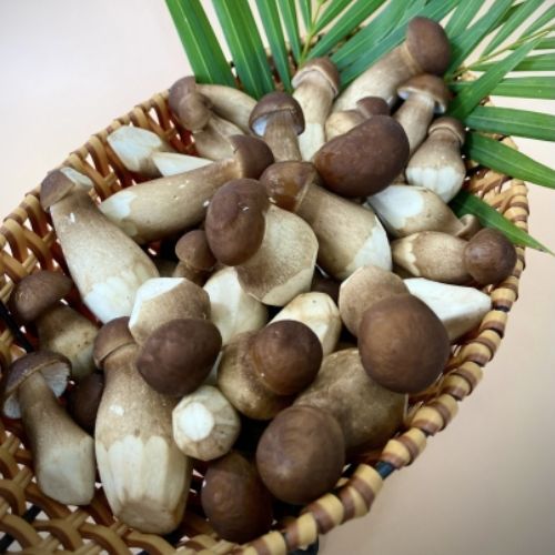 AVN01 - Nam moi den say lanh/Freeze-dried black termitomyces heim mushrooms