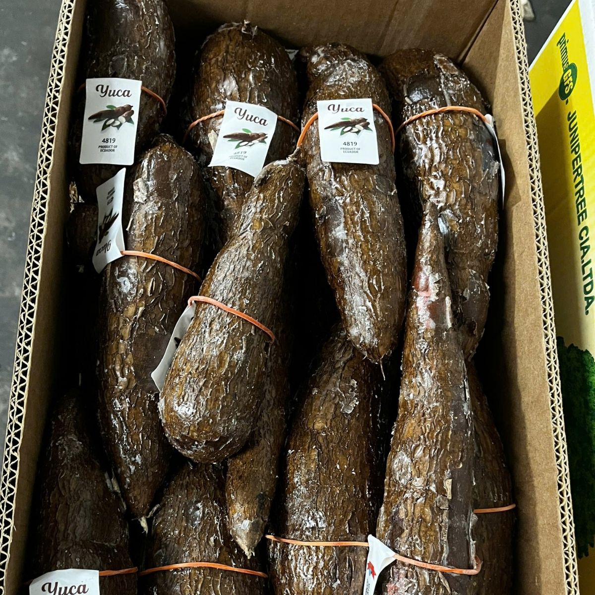 Khoai Mi - Yuca