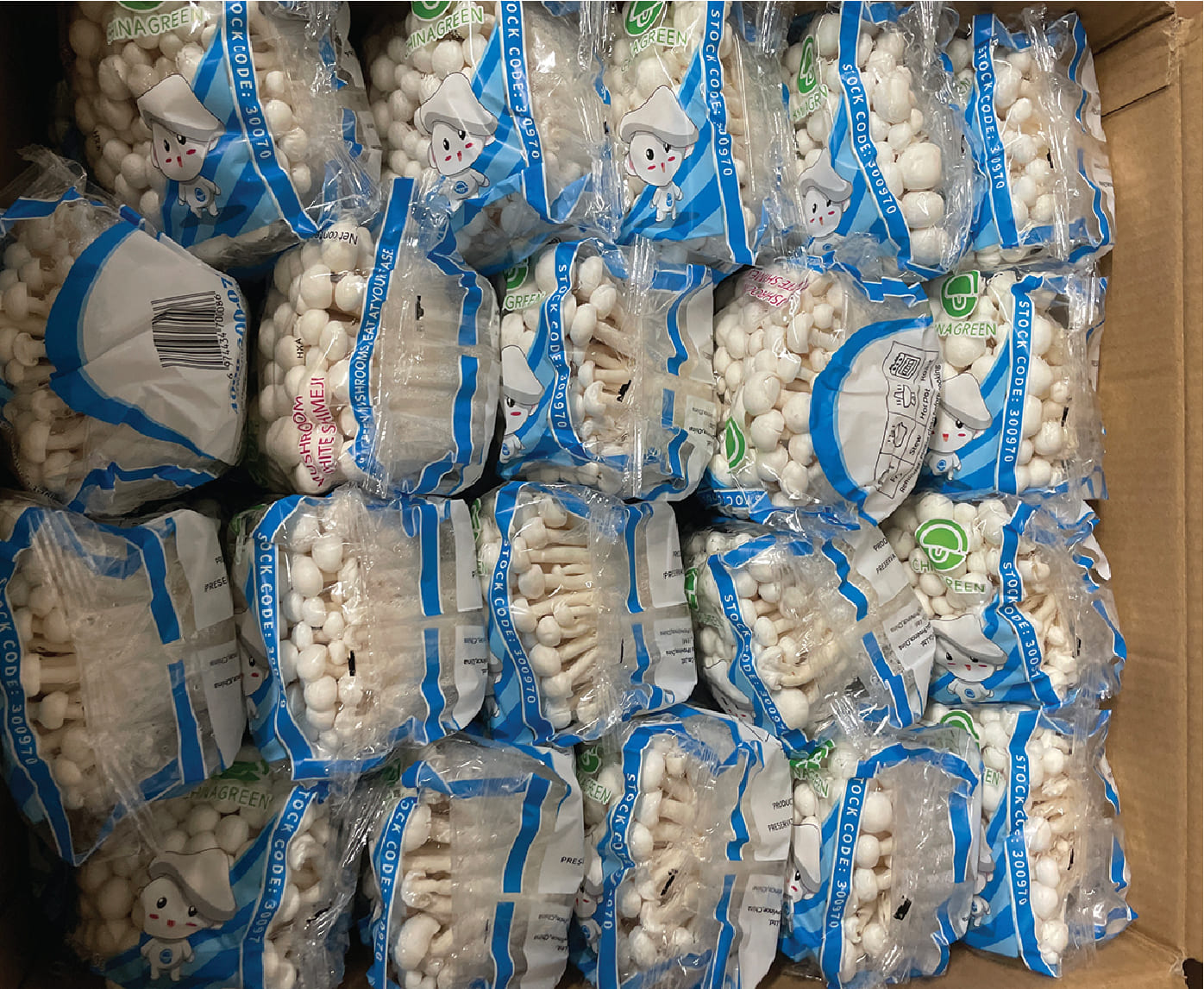 Nam Ngoc Cham / White Beech Murshroom