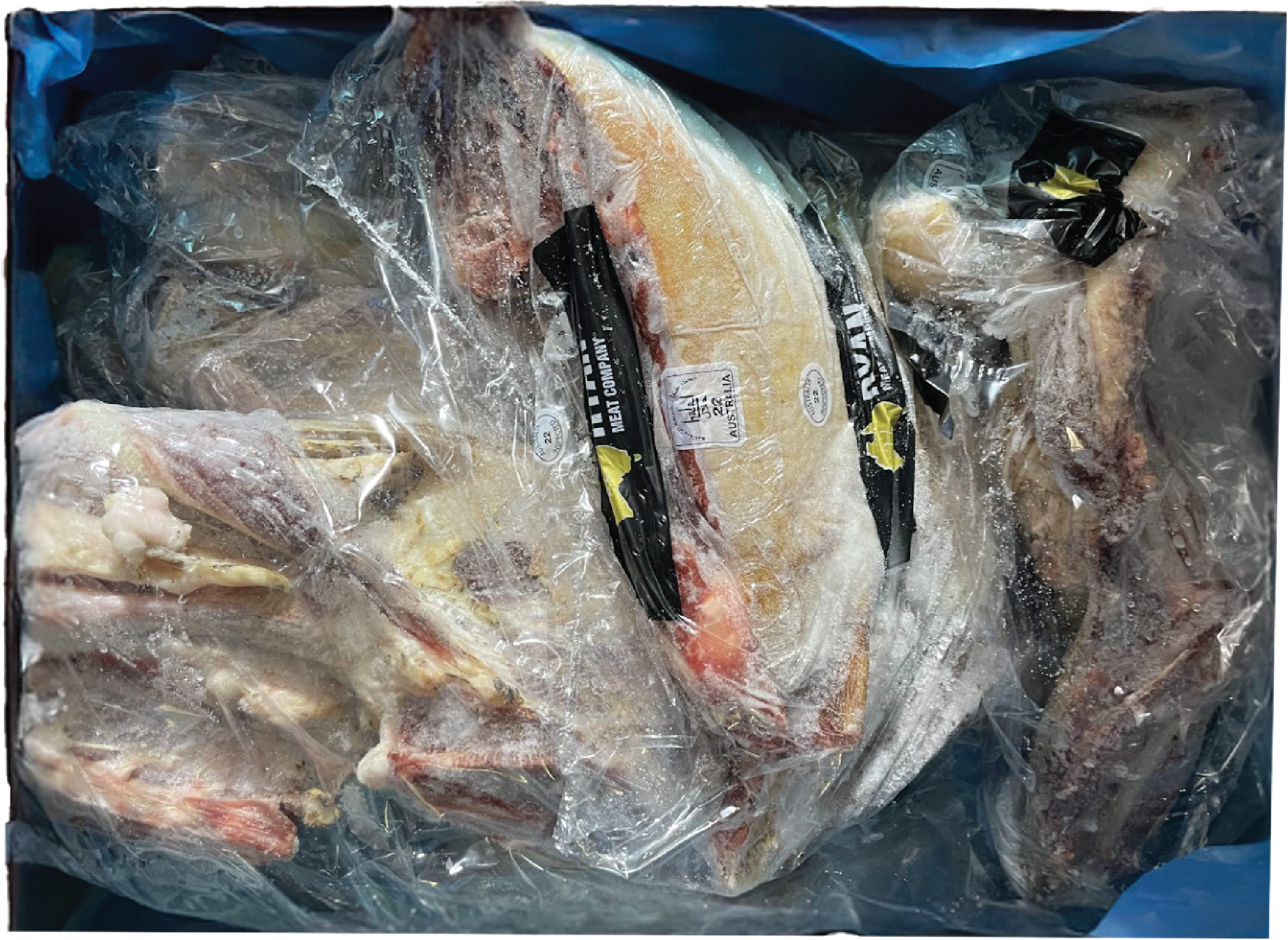 De Cat 6 Mieng / 6 Way Skin on Goat