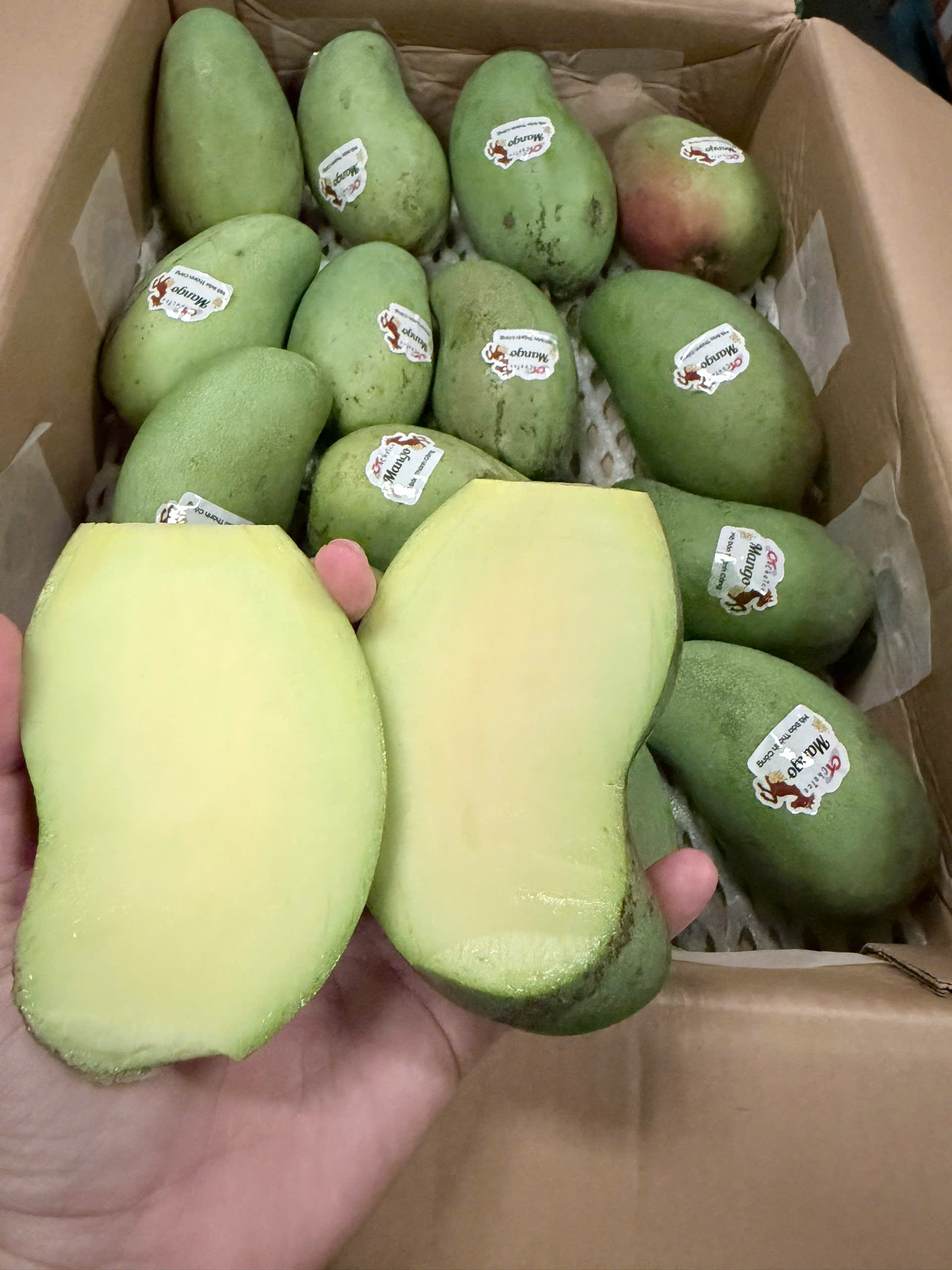 Xoai DEO  - DEO MANGO VN 5kgs