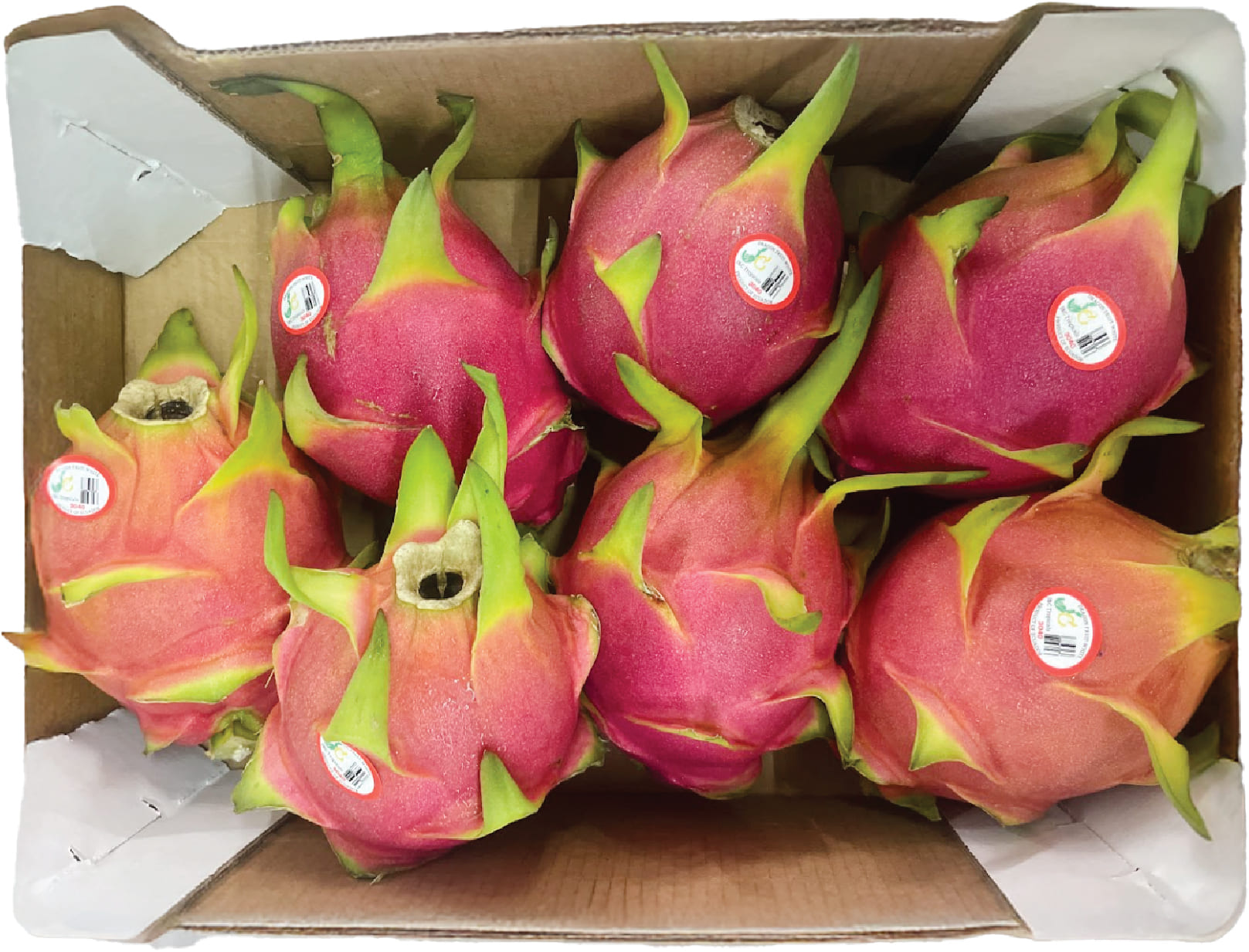 Thanh Long ( Dragon Fruit )* 10lbs FL