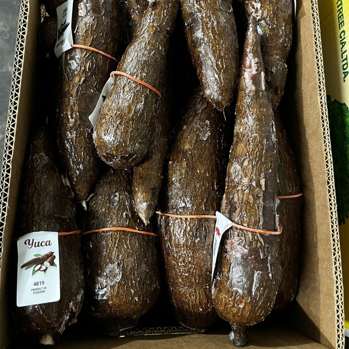 Khoai Mi - Yuca