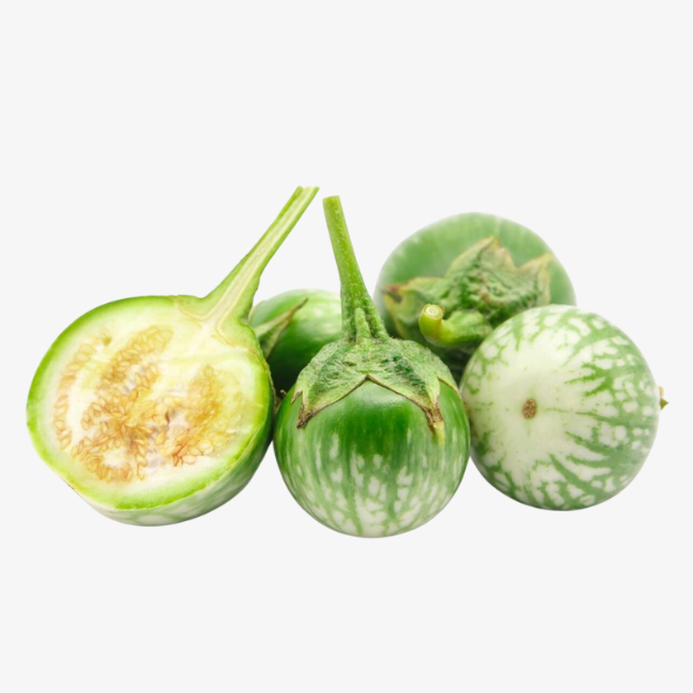 Ca Phao Xanh / Thai Eggplant