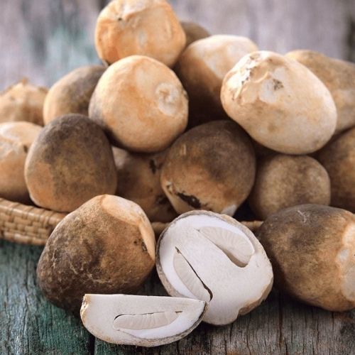 PLT027 - Nam rom tuoi/Frozen Straw Mushroom