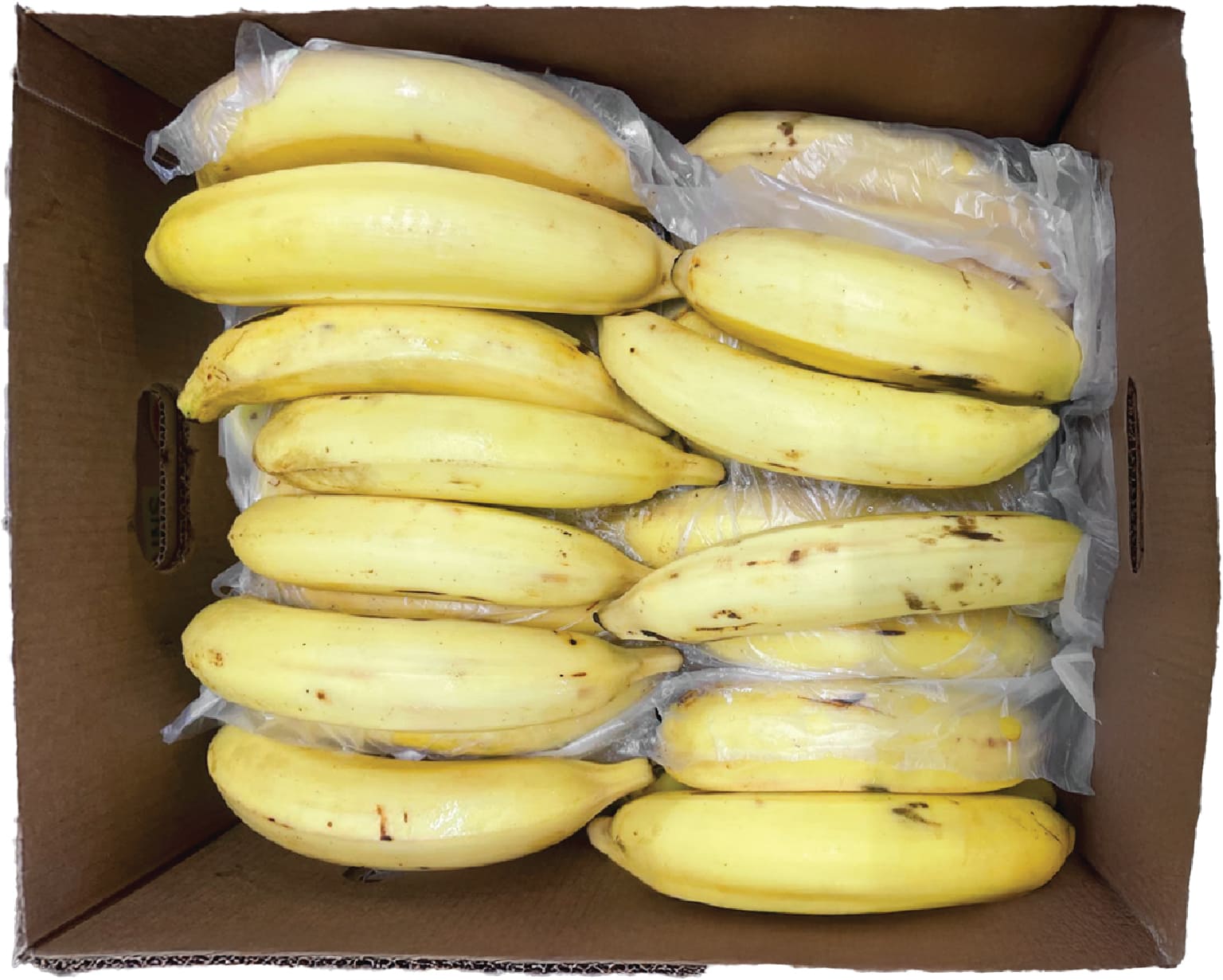 Chuoi Vang / Yellow Plantain