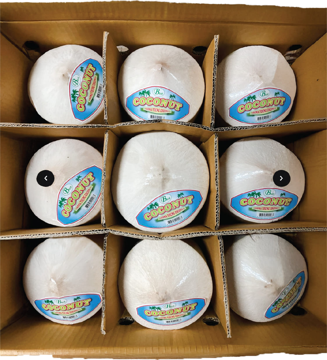 Dua Tuoi / Fresh Coconut