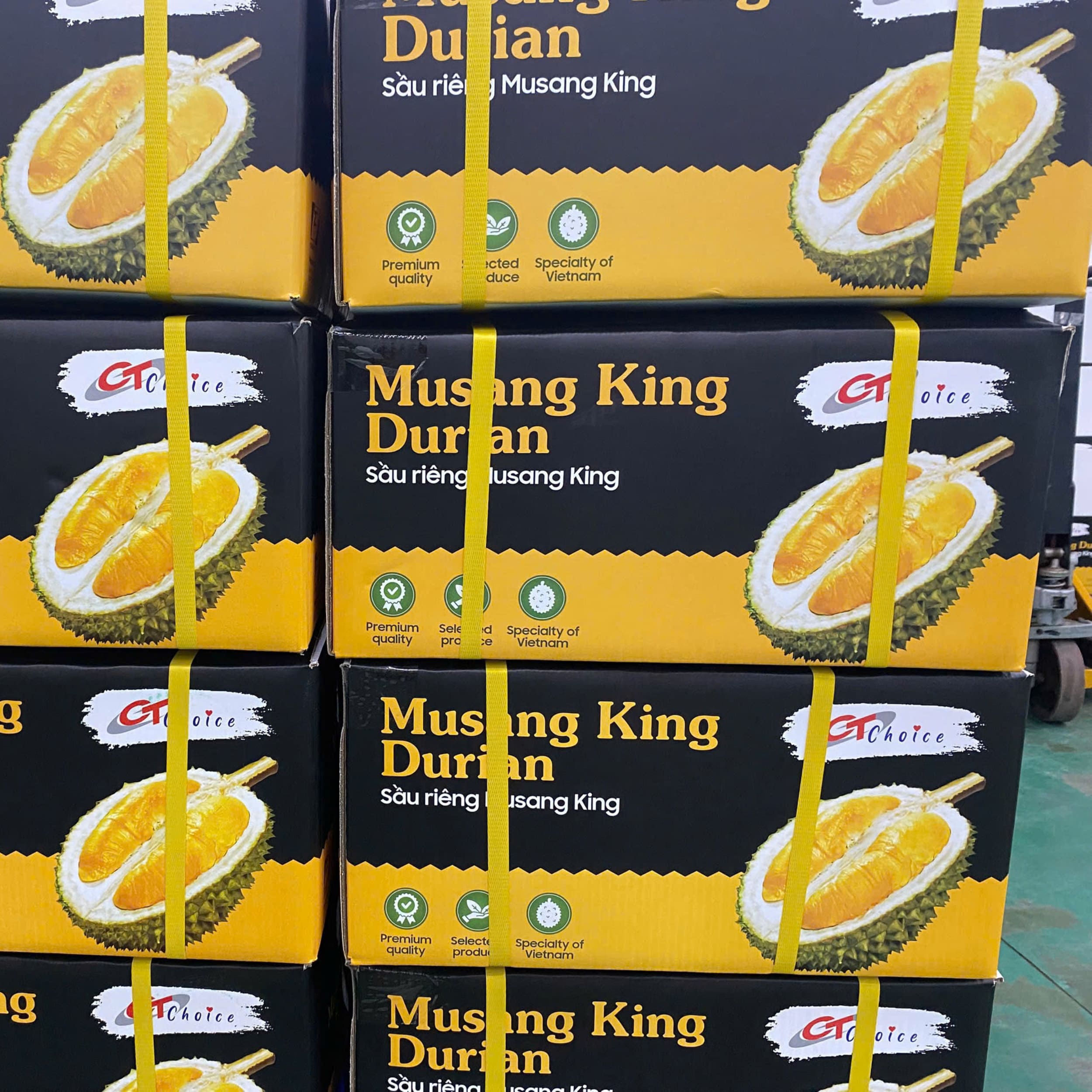 MSK01 - Sau rieng Musang King/ Frozen Musang King  Durian Whole Size: 1kg-3.5kg / 12kgs