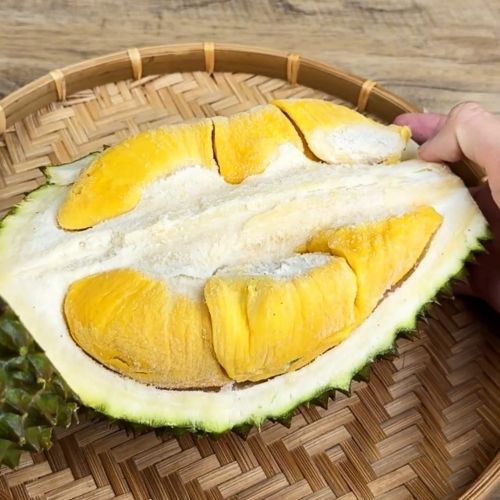 MSK01 - Sau rieng Musang King/ Frozen Musang King  Durian Whole Size: 1kg-3.5kg / 12kgs