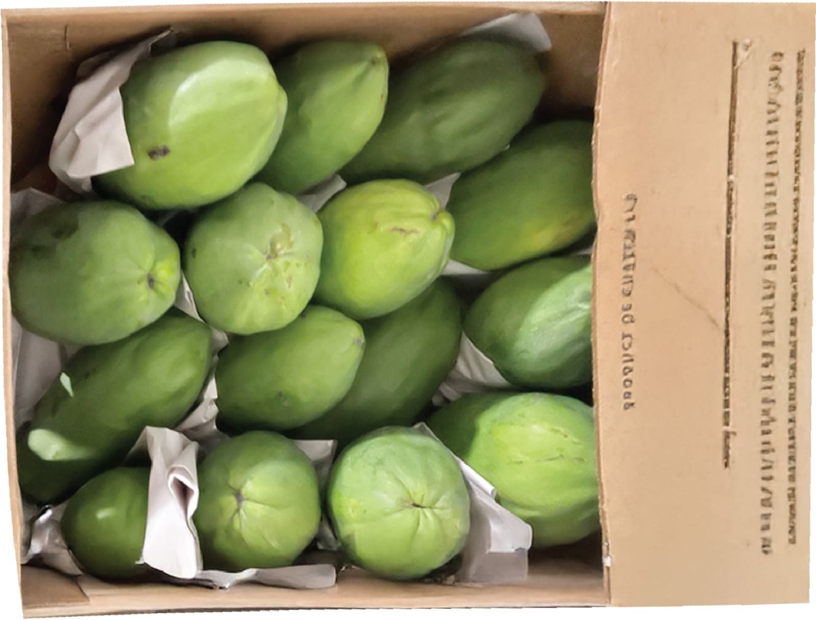 Du Du Xanh / Green Papaya