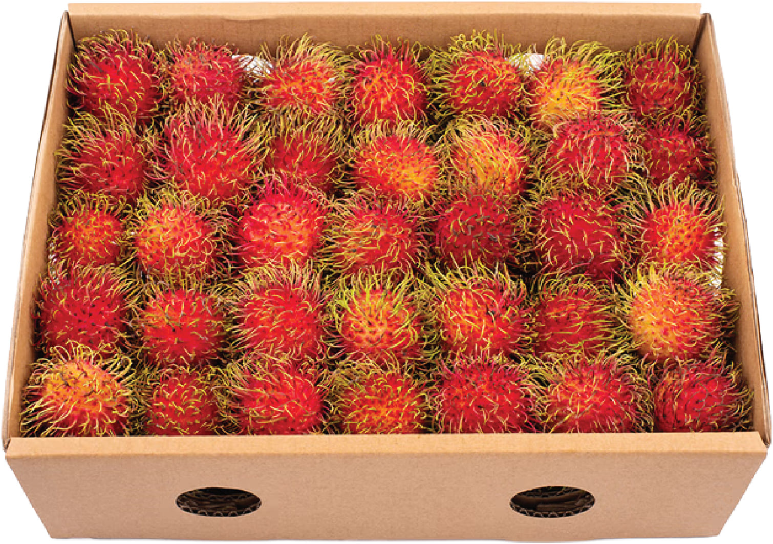 Chom Chom/Rambutan Mexico 15lbs