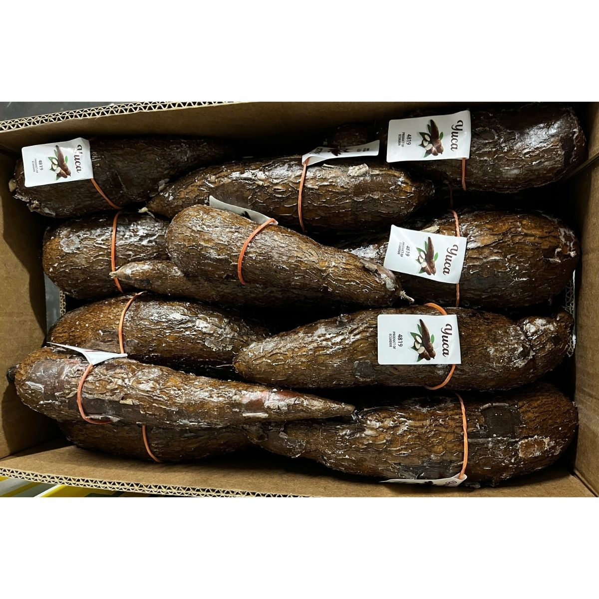 Khoai Mi - Yuca